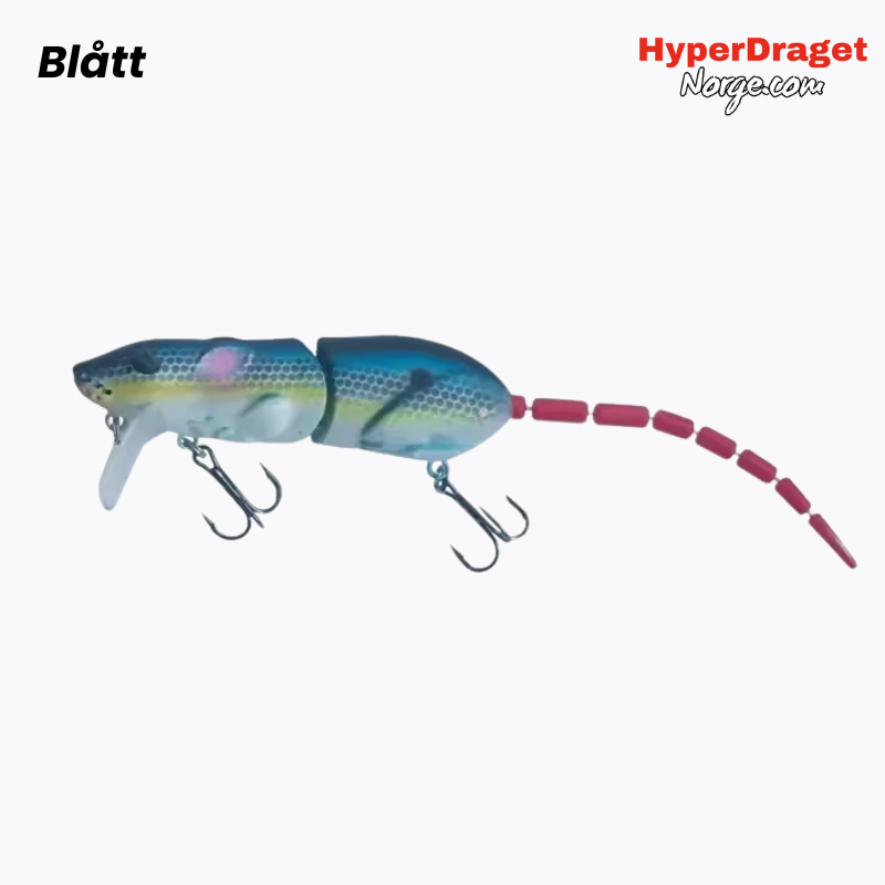 Hyper - Rotta