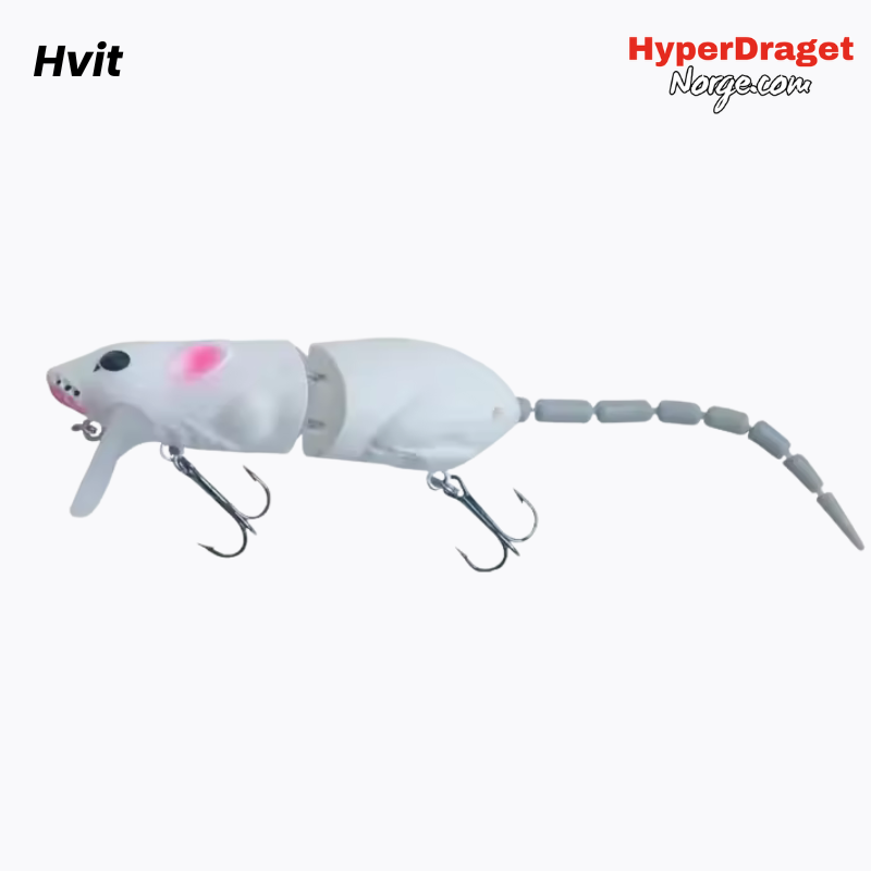 Hyper - Rotta